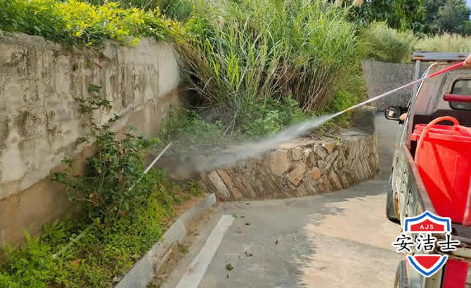 闵行区道路堤坝白蚁防治