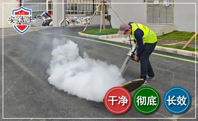 闵行区消杀防疫现场