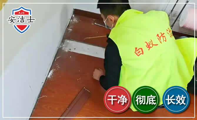 闵行区除四害现场