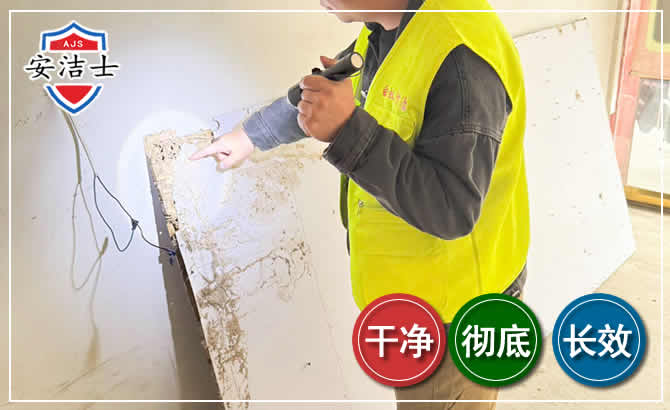 闵行区除白蚁现场