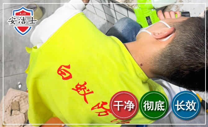 闵行区白蚁根治现场